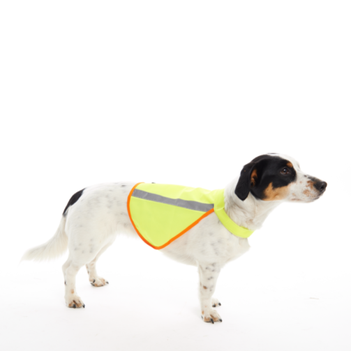 Gilet réflecteur pour chiens